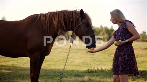 Feeding Horse Apple
