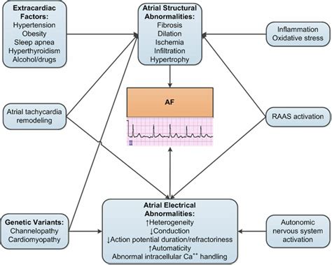 2014 AHA/ACC/HRS Guideline for the Management of Patients With Atrial ...