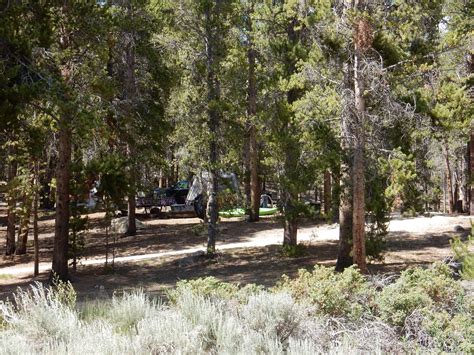 Campgrounds Near Leadville Colorado: Top-Rated RV Parks & Camp Sites
