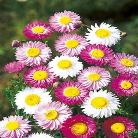 Products – Plant Orbit