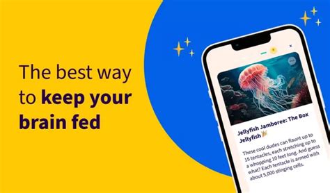 Image result for LearnFast