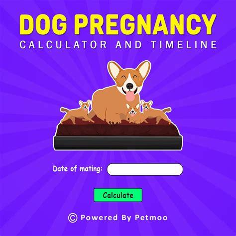 How Do You Count A Dogs Pregnancy