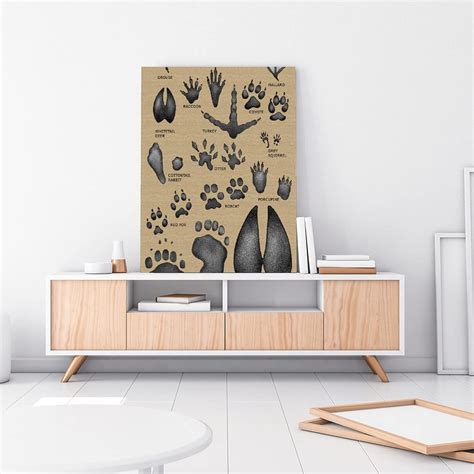 Buy Field Guide Posters Animal Footprints Educational Charts Wall Decor ...