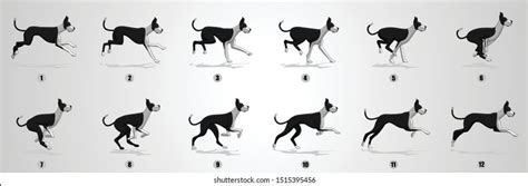 Image result for Run Cycle Animation Frames