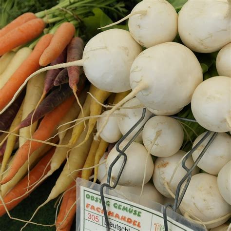 White Root Vegetable Looks Like A Carrot