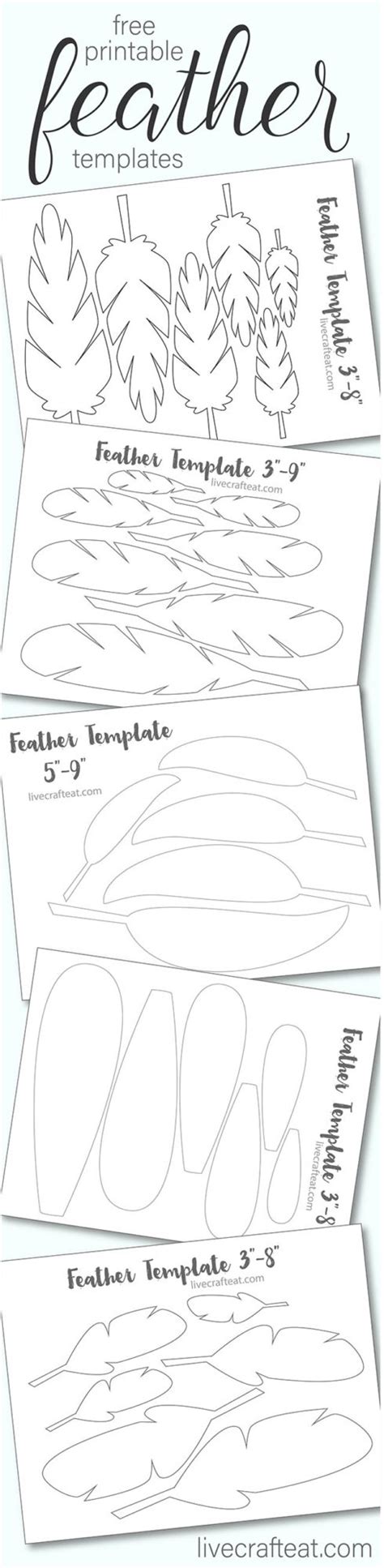 Printable Turkey Feather Patterns & Templates - Free | Live Craft Eat