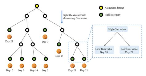 Image result for Decision Tree Cart Example