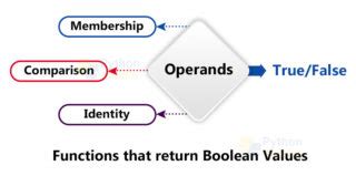 Image result for Python Boolean Age Example