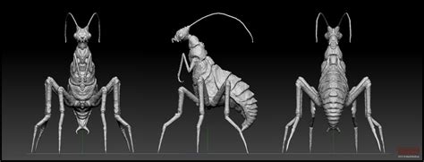 Image result for Alien Bug Concepts
