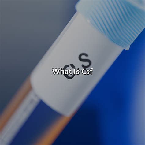 What Color Is Csf - colorscombo.com