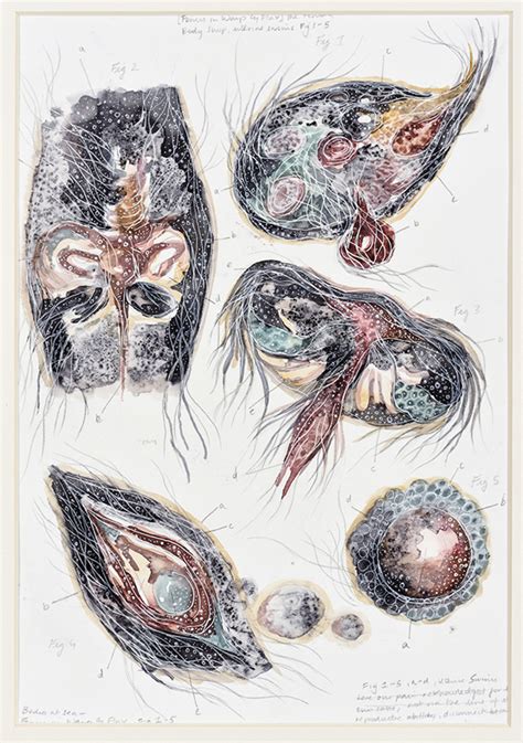 Devika Sundar | India Foundation for the Arts