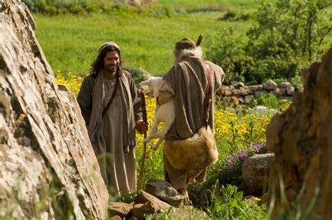 Image result for shepherds