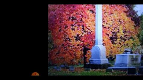 Image result for Sbox Ghost Box Scanner