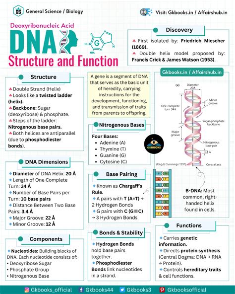 The Blueprint Of Life: 7 Unique Features Of Dna Explained