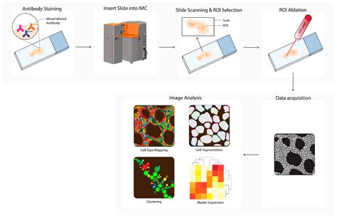 Multiplex Tissue Imaging: Spatial Revelations in the Tumor Microenvironment