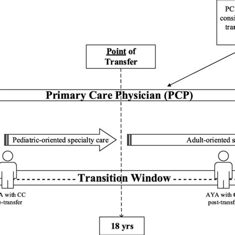 Image result for Transitional Care Clinic Model