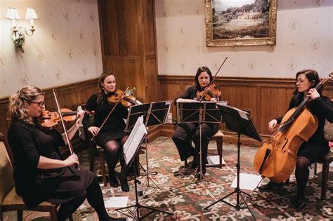 Image result for String Bass Ensembles