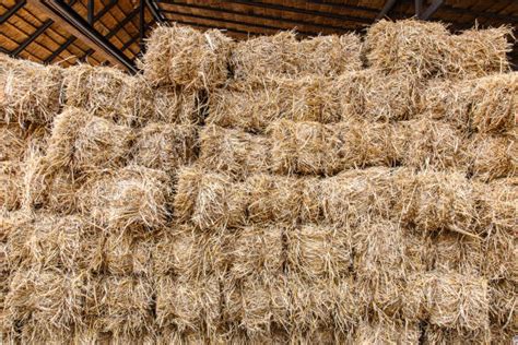 Haystack 的图像结果