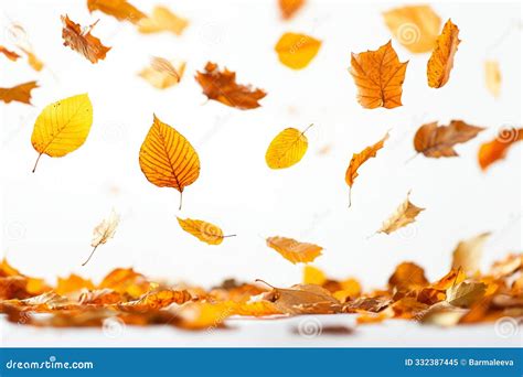 Autumn Leaves Falling Down on White Background, Cozy Atmosphere Stock ...