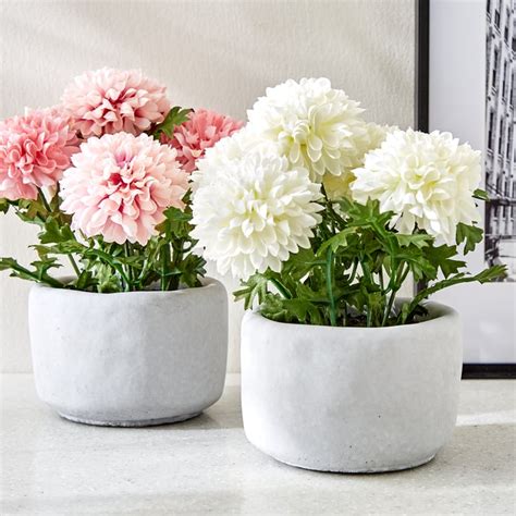 Buy Gloria Bud Artificial Chrysanthemum Flowers in Cement Pot from Home ...