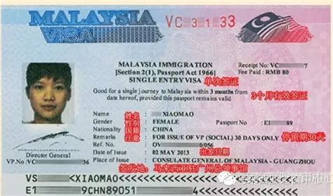 马来西亚个人电子签证攻略一览表_搜狐旅游_搜狐网