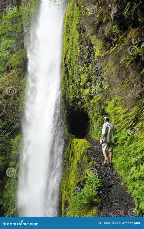 Tunnel Falls in Oregon stock image. Image of hiking, rail - 14481033