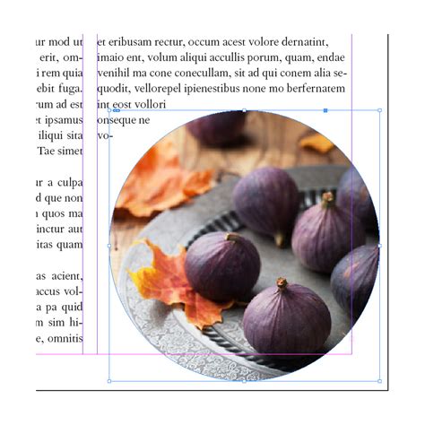 How to Use Text Wrap in InDesign | InDesignSkills