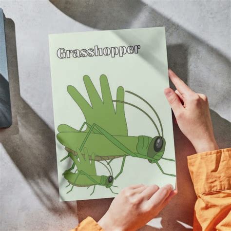 Image result for Hand Craft Insect Screen