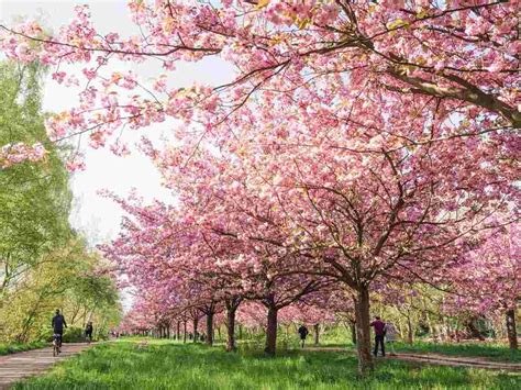 Best Time To Visit Germany: Seasons To Visit & Tips For Travelling