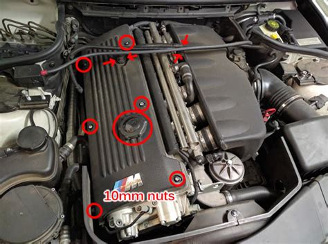 Image result for Python Problem Bureni Bulletin