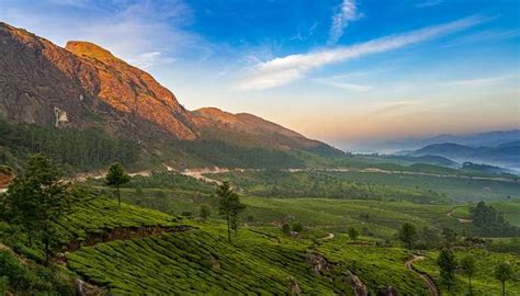 Offbeat Places In Munnar That You Must Explore On Your Next Trip