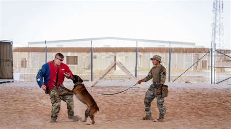 Military Working Dog Bite Training > U.S. Air Forces Central > Display