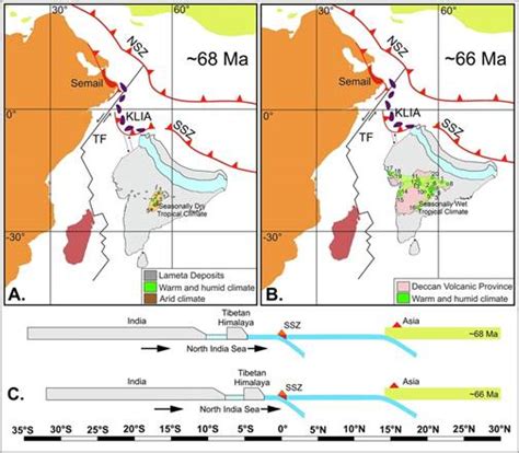 Tropical Flora showed significant resilience during the Deccan ...