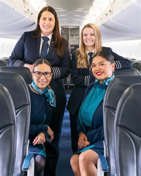 WestJet Flight Attendant Requirements in 2025