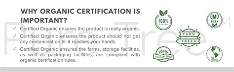 Pure Tree Certified Organic Fennel Seeds | 250 g | Saunf, Variyali ...