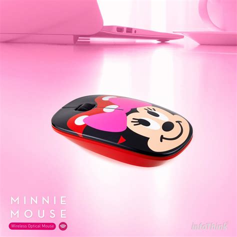 Image result for Mini Mouse DTI