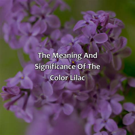 What Does The Color Lilac Mean - colorscombo.com