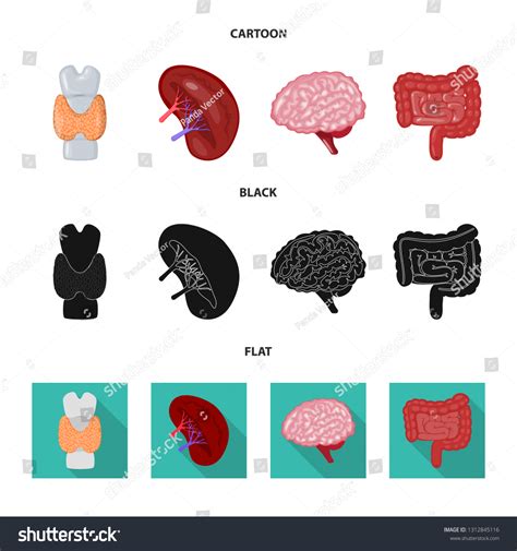 Biology Science Logo 的图像结果