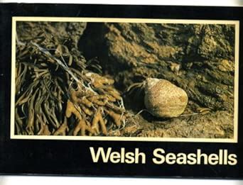 Welsh Seashells : Chatfield, June E., National Museum of Wales: Amazon ...