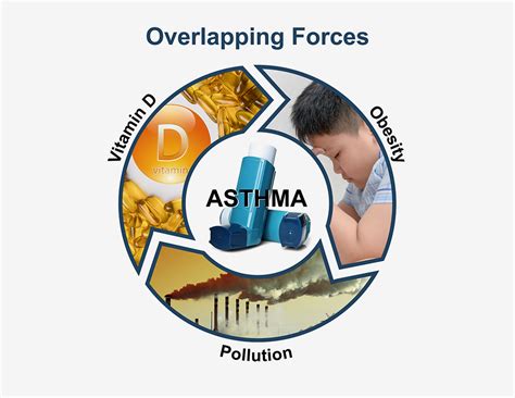 Vitamin D may protect against pollution-associated asthma symptoms in ...