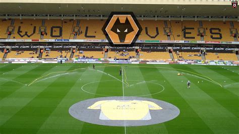 Image result for Wolves Footballl