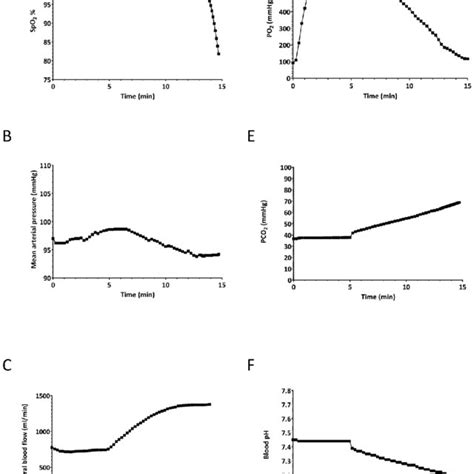 Image result for What Does SpO2 Mean