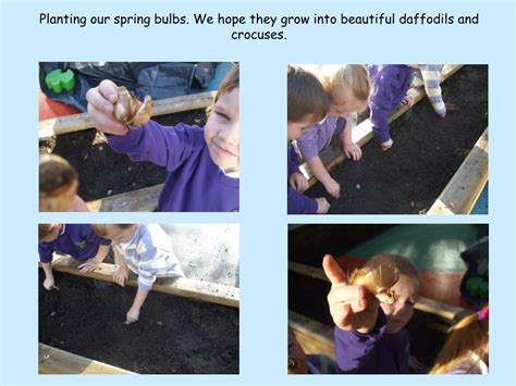 Learning Log Words 的图像结果