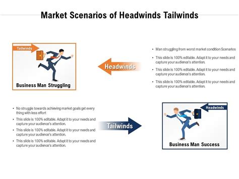 Tradewinds Examples 的图像结果