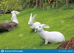 Image result for Small Wild Rabbit Statue