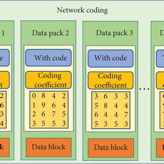 Image result for Network Programmer