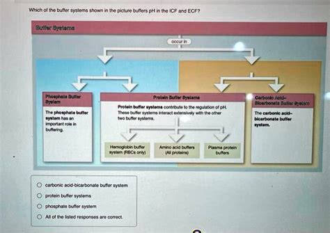 Image result for Protein Buffer System
