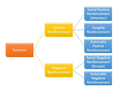 Image result for Functions of Behavior Visual