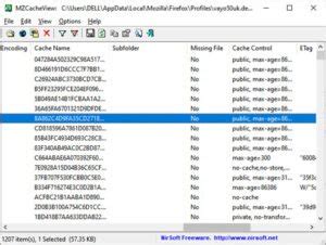 Image result for Java Application Cache Viewer
