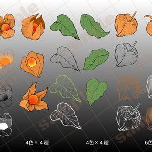 Image result for Python Modules List